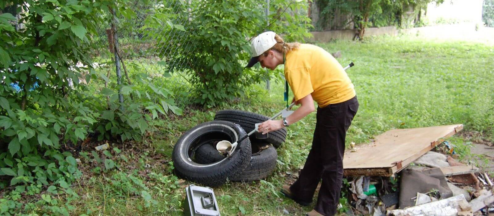 Person looking for mosquito larvae